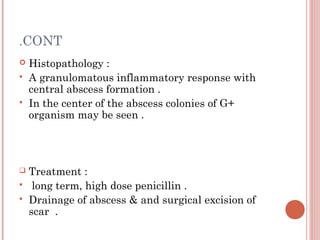 .CONT








Histopathology :
A granulomatous inflammatory response with
central abscess formation .
In the center of the abscess colonies of G+
organism may be seen .

Treatment :
long term, high dose penicillin .
Drainage of abscess & and surgical excision of
scar .

 