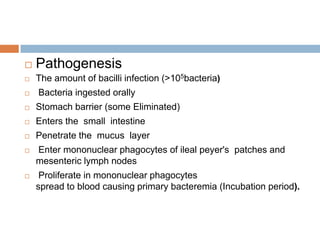 

Pathogenesis



The amount of bacilli infection (>105bacteria)



Bacteria ingested orally



Stomach barrier (some Eliminated)



Enters the small intestine



Penetrate the mucus layer



Enter mononuclear phagocytes of ileal peyer's patches and
mesenteric lymph nodes



Proliferate in mononuclear phagocytes
spread to blood causing primary bacteremia (Incubation period).

 