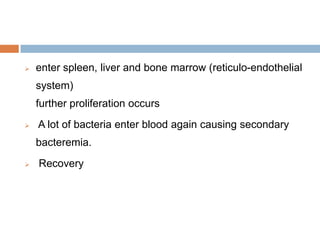 

enter spleen, liver and bone marrow (reticulo-endothelial

system)
further proliferation occurs


A lot of bacteria enter blood again causing secondary

bacteremia.


Recovery

 