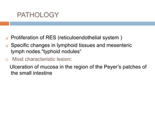 PATHOLOGY
Proliferation of RES (reticuloendothelial system )
 Specific changes in lymphoid tissues and mesenteric
lymph nodes."typhoid nodules―
 Most characteristic lesion:
Ulceration of mucosa in the region of the Peyer’s patches of
the small intestine


 