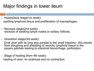 Major findings in lower ileum


Hyperplasia stage(1st week):
swelling lymphoid tissue and proliferation of macrophages.



Necrosis stage(2nd week):
necrosis of swelling lymph nodes or solitary follicles.



Ulceration stage(3rd week):
Oval ulcer with its long axis parallel to the small intestine , this results
from sloughing and shedding of necrotic lymphoid tissue in the
peyers patches leading to intestinal hemorrhage, perforation .



Stage of healing (from 4th week):
healing of ulcer, no cicatrices and no contraction

 