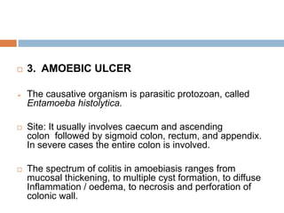 

3. AMOEBIC ULCER



The causative organism is parasitic protozoan, called
Entamoeba histolytica.



Site: It usually involves caecum and ascending
colon followed by sigmoid colon, rectum, and appendix.
In severe cases the entire colon is involved.



The spectrum of colitis in amoebiasis ranges from
mucosal thickening, to multiple cyst formation, to diffuse
Inflammation / oedema, to necrosis and perforation of
colonic wall.

 