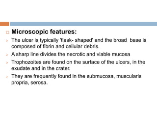 

Microscopic features:



The ulcer is typically 'flask- shaped' and the broad base is
composed of fibrin and cellular debris.
A sharp line divides the necrotic and viable mucosa
Trophozoites are found on the surface of the ulcers, in the
exudate and in the crater.
They are frequently found in the submucosa, muscularis
propria, serosa.






 