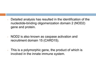 •

Detailed analysis has resulted in the identification of the
nucleotide-binding oligomerization domain 2 (NOD2)
gene and protein.

•

NOD2 is also known as caspase activation and
recruitment domain 15 (CARD15).

•

This is a polymorphic gene, the product of which is
involved in the innate immune system.

 