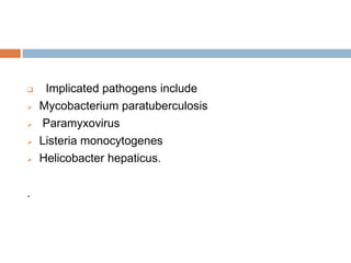 





.

Implicated pathogens include
Mycobacterium paratuberculosis
Paramyxovirus
Listeria monocytogenes
Helicobacter hepaticus.

 