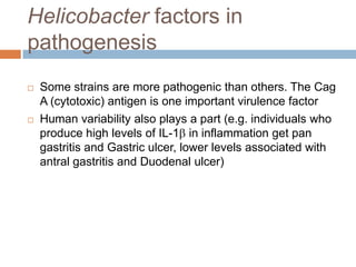 Helicobacter factors in
pathogenesis




Some strains are more pathogenic than others. The Cag
A (cytotoxic) antigen is one important virulence factor
Human variability also plays a part (e.g. individuals who
produce high levels of IL-1 in inflammation get pan
gastritis and Gastric ulcer, lower levels associated with
antral gastritis and Duodenal ulcer)

 