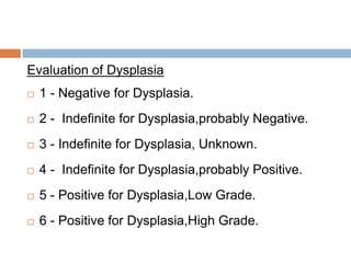 Evaluation of Dysplasia


1 - Negative for Dysplasia.



2 - Indefinite for Dysplasia,probably Negative.



3 - Indefinite for Dysplasia, Unknown.



4 - Indefinite for Dysplasia,probably Positive.



5 - Positive for Dysplasia,Low Grade.



6 - Positive for Dysplasia,High Grade.

 