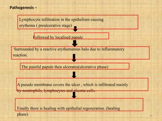 10
Pathogenesis –
Lymphocyte infiltration in the epithelium causing
erythema ( preulcerative stage)
Followed by localised papule
Surrounded by a reactive erythematous halo due to inflammatory
reaction.
The painful papule then ulcerates(ulcerative phase)
A pseudo membrane covers the ulcer , which is infiltrated mainly
by neutrophils, lymphocytes and plasma cells.
Finally there is healing with epithelial regeneration. (healing
phase)
 