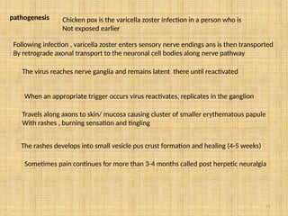 51
pathogenesis Chicken pox is the varicella zoster infection in a person who is
Not exposed earlier
Following infection , varicella zoster enters sensory nerve endings ans is then transported
By retrograde axonal transport to the neuronal cell bodies along nerve pathway
The virus reaches nerve ganglia and remains latent there until reactivated
When an appropriate trigger occurs virus reactivates, replicates in the ganglion
Travels along axons to skin/ mucosa causing cluster of smaller erythematous papule
With rashes , burning sensation and tingling
The rashes develops into small vesicle pus crust formation and healing (4-5 weeks)
Sometimes pain continues for more than 3-4 months called post herpetic neuralgia
 