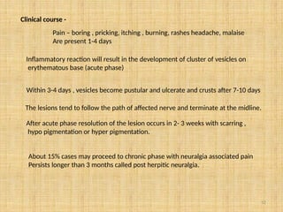 52
Clinical course -
Pain – boring , pricking, itching , burning, rashes headache, malaise
Are present 1-4 days
Inflammatory reaction will result in the development of cluster of vesicles on
erythematous base (acute phase)
Within 3-4 days , vesicles become pustular and ulcerate and crusts after 7-10 days
The lesions tend to follow the path of affected nerve and terminate at the midline.
After acute phase resolution of the lesion occurs in 2- 3 weeks with scarring ,
hypo pigmentation or hyper pigmentation.
About 15% cases may proceed to chronic phase with neuralgia associated pain
Persists longer than 3 months called post herpitic neuralgia.
 