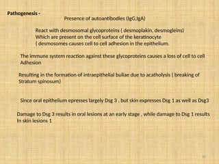 60
Pathogenesis -
Presence of autoantibodies (IgG,IgA)
React with desmosomal glycoproteins ( desmoplakin, desmogleins)
Which are present on the cell surface of the keratinocyte
( desmosomes causes cell to cell adhesion in the epithelium.
The immune system reaction against these glycoproteins causes a loss of cell to cell
Adhesion
Resulting in the formation of intraepithelial bullae due to acatholysis ( breaking of
Stratum spinosum)
Since oral epithelium epresses largely Dsg 3 , but skin expresses Dsg 1 as well as Dsg3
Damage to Dsg 3 results in oral lesions at an early stage , while damage to Dsg 1 results
In skin lesions 1
 