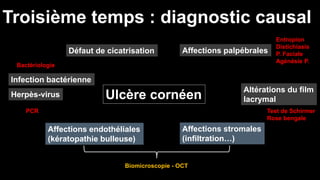 Troisième temps : diagnostic causal 
Défaut de cicatrisation Affections palpébrales 
Bactériologie 
Infection bactérienne 
Herpès-virus Ulcère cornéen 
Altérations du film 
lacrymal 
Affections stromales 
(infiltration…) 
Affections endothéliales 
(kératopathie bulleuse) 
PCR 
Entropion 
Distichiasis 
P. Faciale 
Agénésie P. 
Test de Schirmer 
Rose bengale 
Biomicroscopie - OCT 
 