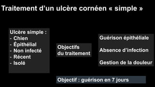Traitement d’un ulcère cornéen « simple » 
Ulcère simple : 
- Chien 
- Épithélial 
- Non infecté 
- Récent 
- Isolé 
Objectifs 
du traitement 
Guérison épithéliale 
Absence d’infection 
Gestion de la douleur 
Objectif : guérison en 7 jours 
 