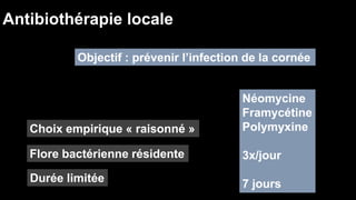 Antibiothérapie locale 
Objectif : prévenir l’infection de la cornée 
Choix empirique « raisonné » 
Flore bactérienne résidente 
Durée limitée 
Néomycine 
Framycétine 
Polymyxine 
3x/jour 
7 jours 
 