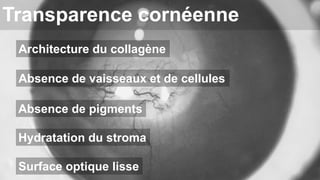 Transparence cornéenne 
Architecture du collagène 
Absence de vaisseaux et de cellules 
Absence de pigments 
Hydratation du stroma 
Surface optique lisse 
 