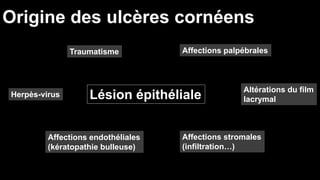 Origine des ulcères cornéens 
Traumatisme Affections palpébrales 
Herpès-virus Lésion épithéliale 
Altérations du film 
lacrymal 
Affections stromales 
(infiltration…) 
Affections endothéliales 
(kératopathie bulleuse) 
 
