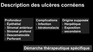 Description des ulcères cornéens 
Profondeur 
- Épithélial 
- Stromal antérieur 
- Stromal profond 
- Descemetocèle 
- Perforant 
Complications 
- Infection 
- kératomalacie 
Origine supposée 
- Herpétique 
- Exposition 
- secondaire 
Démarche thérapeutique spécifique 
 
