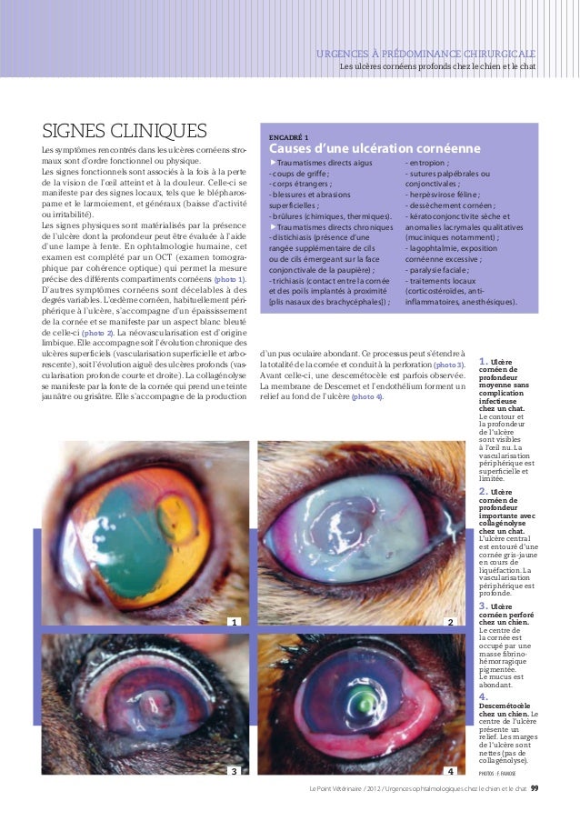 Ulceres Corneens Profonds Ulceres Corneens Profonds