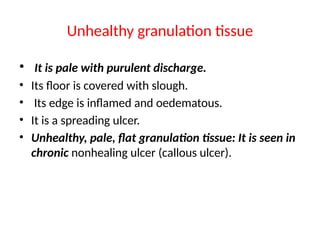 Unhealthy granulation tissue
• It is pale with purulent discharge.
• Its floor is covered with slough.
• Its edge is inflamed and oedematous.
• It is a spreading ulcer.
• Unhealthy, pale, flat granulation tissue: It is seen in
chronic nonhealing ulcer (callous ulcer).
 