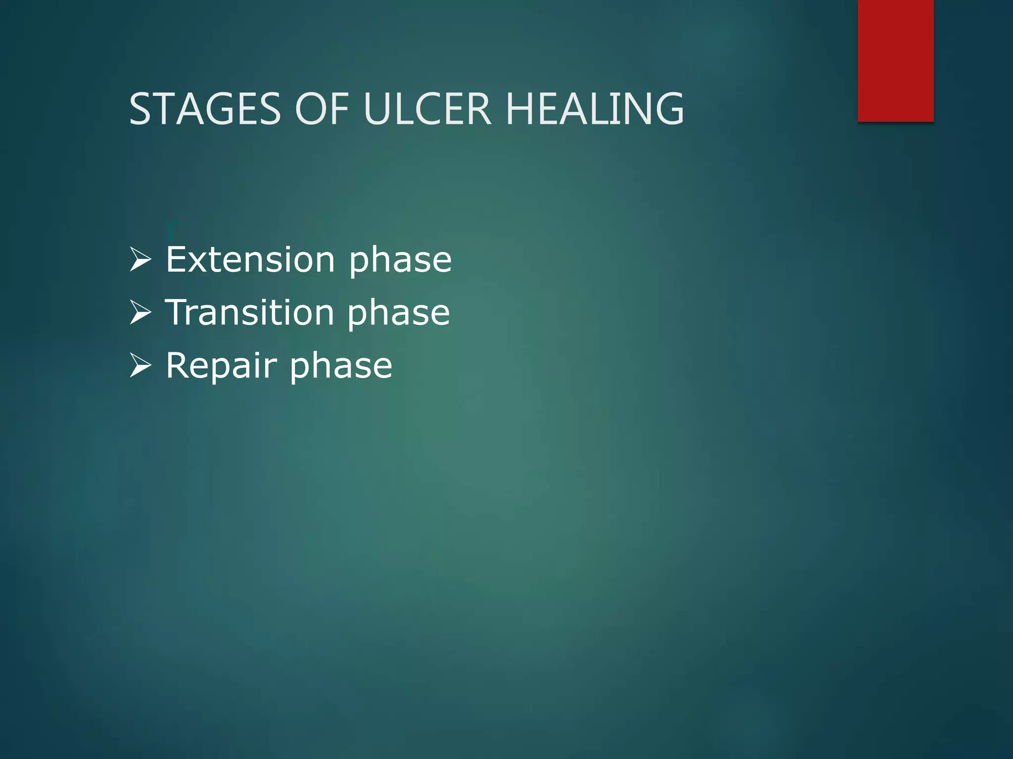 STAGES OF ULCER HEALING

 Extension phase
 Transition phase
 Repair phase
 