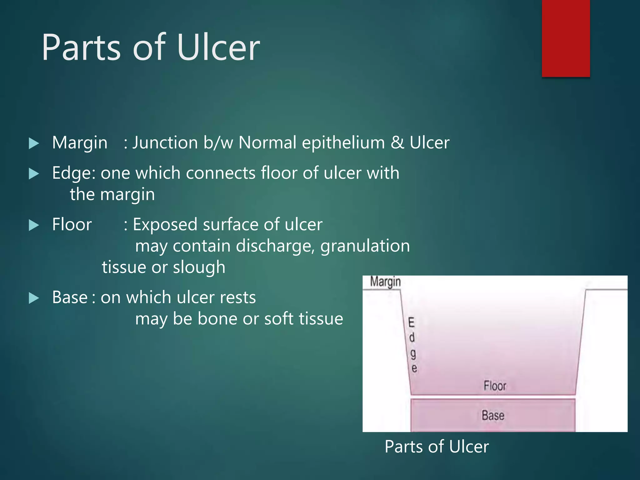 Parts of Ulcer
 Margin : Junction b/w Normal epithelium & Ulcer
 Edge: one which connects floor of ulcer with
the margin
 Floor : Exposed surface of ulcer
may contain discharge, granulation
tissue or slough
 Base : on which ulcer rests
may be bone or soft tissue
Parts of Ulcer
 