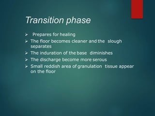 Transition phase
 Prepares for healing
 The floor becomes cleaner and the slough
separates
 The induration of the base diminishes
 The discharge become more serous
 Small reddish area of granulation tissue appear
on the floor
 