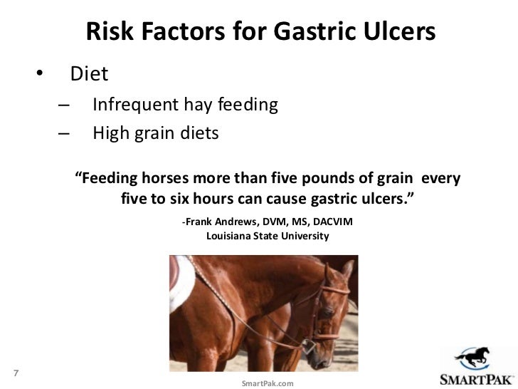 SmartPak's Understanding Equine Ulcers & Gastric Health
