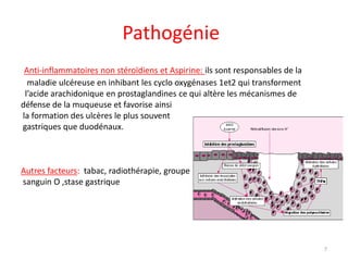 Pathogénie
Anti-inflammatoires non stéroïdiens et Aspirine: ils sont responsables de la
maladie ulcéreuse en inhibant les cyclo oxygénases 1et2 qui transforment
l’acide arachidonique en prostaglandines ce qui altère les mécanismes de
défense de la muqueuse et favorise ainsi
la formation des ulcères le plus souvent
gastriques que duodénaux.
Autres facteurs: tabac, radiothérapie, groupe
sanguin O ,stase gastrique
7
 