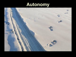 Autonomy 