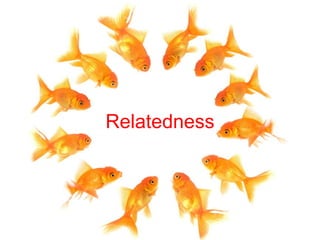 Relatedness 