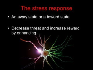 The stress response An away state or a toward state Decrease threat and increase reward by enhancing… 