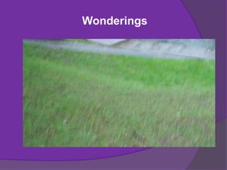 Wonderings
 