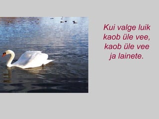 Kui valge luik kaob üle vee, kaob üle vee ja lainete. 