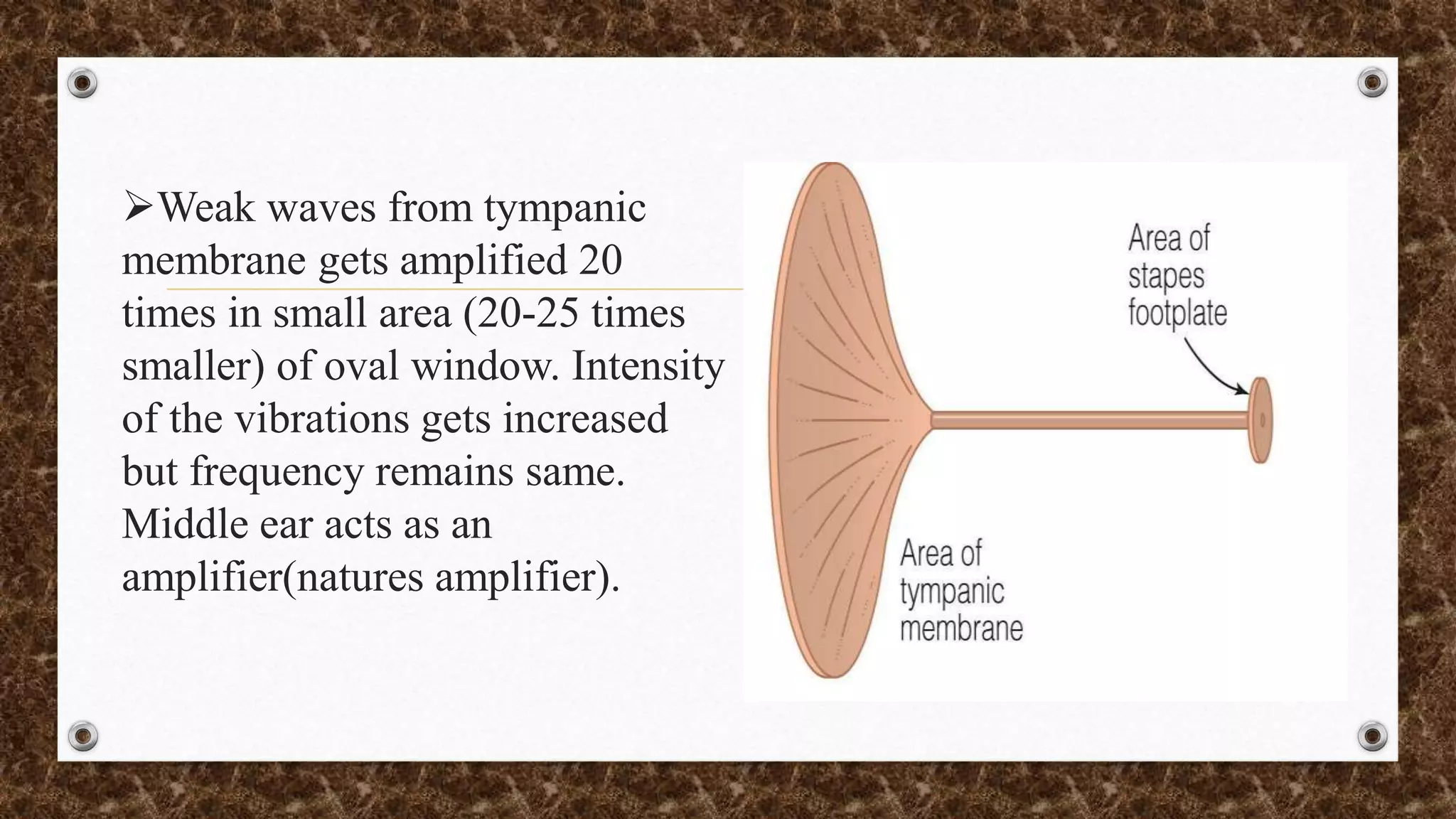 Physiology of hearing and balance | PPTX