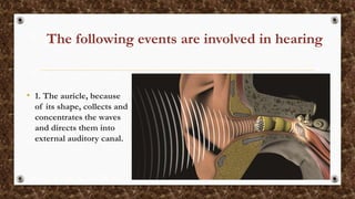 Physiology of hearing and balance | PPTX