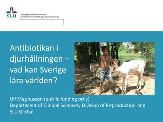 Antibiotikan i
djurhållningen –
vad kan Sverige
lära världen?
Ulf Magnusson (public funding only)
Department of Clinical Sciences, Division of Reproduction and
SLU Global
 