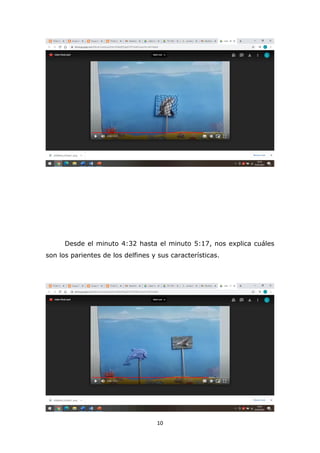 10
Desde el minuto 4:32 hasta el minuto 5:17, nos explica cuáles
son los parientes de los delfines y sus características.
 