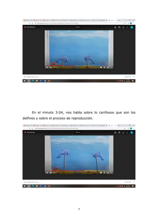7
En el minuto 3:04, nos habla sobre lo cariñosos que son los
delfines y sobre el proceso de reproducción.
 
