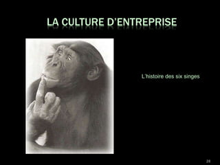 L’histoire des six singes 