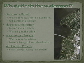 Stormwater Runoff Water quality degradation & algal blooms Sedimentation & turbidity Shoreline Stabilization Loss of intertidal habitat Worsening erosion offsite Water Access Projects Water quality degradation Loss of submerged & near shore habitat Wetland Fill Projects Loss of sponge / kidney / net benefits