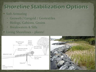 Soft Armoring Geoweb / Geogrid / Geotextiles Biologs, Gabions, Groins Breakwaters & Sills Living Shorelines – plants!
