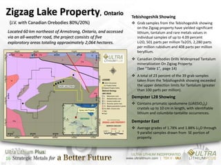 Zigzag Lake Property, Ontario                                 Tebishogeshik Showing
 (J.V. with Canadian Orebodies 80%/20%)                        Grab samples from the Tebishogeshik showing
                                                                on the Zigzag property have yielded significant
Located 60 km northeast of Armstrong, Ontario, and accessed     lithium, tantalum and rare metals values in
via an all-weather road, the project consists of five           individual samples of up to 4.09 percent
exploratory areas totaling approximately 2,064 hectares.        Li2O, 501 parts per million Ta2O5, 2,280 parts
                                                                per million rubidium and 408 parts per million
                                                                beryllium.
                                                               Canadian Orebodies Drills Widespread Tantalum
                                                                mineralization On Zigzag Property.
                                                                (See “Table 1”, page 14)
                                                               A total of 23 percent of the 39 grab samples
                                                                taken from the Tebishogeshik showing exceeded
                                                                the upper detection limits for Tantalum (greater
                                                                than 100 parts per million).
                                                              Dempster L28 Showing
                                                               Contains prismatic spodumene (LiAl(SiO3)2)
                                                                crystals up to 10 cm in length, with identifiable
                                                                lithium and columbite-tantalite occurrences.

                                                              Dempster East
                                                               Average grades of 1.78% and 1.88% Li2O through
                                                                9 parallel samples drawn from SE portion of
                                                                property.




16
 