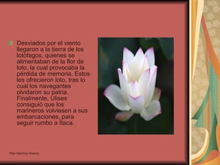 Desviados por el viento llegaron a la tierra de los lotófagos, quienes se alimentaban de la flor de loto, la cual provocaba la pérdida de memoria. Estos les ofrecieron loto, tras lo cual los navegantes olvidaron su patria. Finalmente, Ulises consiguió que los marineros volviesen a sus embarcaciones, para seguir rumbo a Ítaca.  Pilar Sánchez Alvarez 