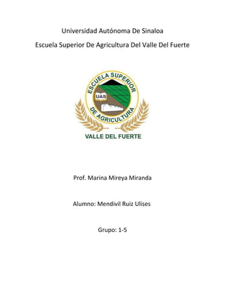 Universidad Autónoma De Sinaloa
Escuela Superior De Agricultura Del Valle Del Fuerte

Prof. Marina Mireya Miranda

Alumno: Mendivil Ruiz Ulises

Grupo: 1-5

 