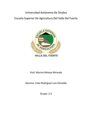 Universidad Autónoma De Sinaloa
Escuela Superior De Agricultura Del Valle Del Fuerte

Prof. Marina Mireya Miranda

Alumno: Cota Rodriguez Luis Donaldo

Grupo: 1-5

 