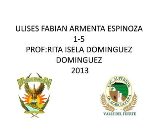 ULISES FABIAN ARMENTA ESPINOZA
1-5
PROF:RITA ISELA DOMINGUEZ
DOMINGUEZ
2013
 