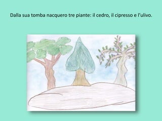 Dalla sua tomba nacquero tre piante: il cedro, il cipresso e l’ulivo. 
 
