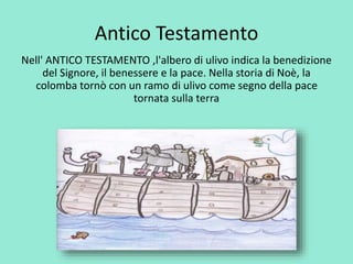 Antico Testamento 
Nell' ANTICO TESTAMENTO ,l'albero di ulivo indica la benedizione 
del Signore, il benessere e la pace. Nella storia di Noè, la 
colomba tornò con un ramo di ulivo come segno della pace 
tornata sulla terra 
 