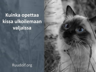 Kuinka opettaa
kissa ulkoilemaan
valjaissa
Ruudolf.org
 