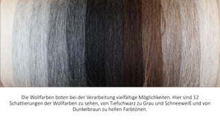 Die Wollfarben boten bei der Verarbeitung vielfältige Möglichkeiten. Hier sind 12
Schattierungen der Wollfarben zu sehen, von Tiefschwarz zu Grau und Schneeweiß und von
Dunkelbraun zu hellen Farbtönen.
 